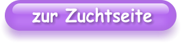 zur Zuchtseite