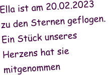 Ella ist am 20.02.2023 zu den Sternen geflogen.  Ein Stück unseres  Herzens hat sie  mitgenommen