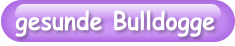 gesunde Bulldogge
